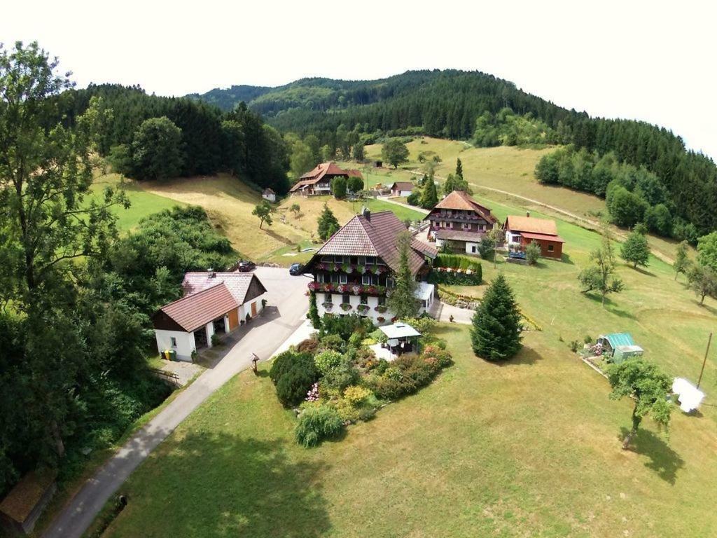 Haus Schneider Apartment Gutach Luaran gambar
